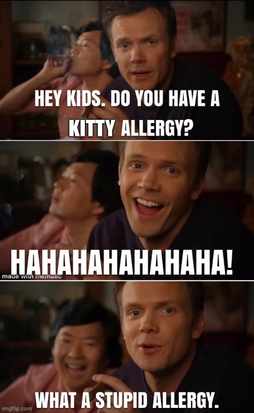 Cat Allergies are Stupid | KITTY | image tagged in cat allergies,kitty allergies,stupid allergies,community,community jeff,allergic to cats | made w/ Imgflip meme maker