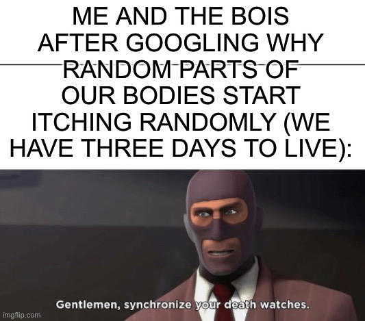 gentlemen, synchronize your death watches | ME AND THE BOIS AFTER GOOGLING WHY RANDOM PARTS OF OUR BODIES START ITCHING RANDOMLY (WE HAVE THREE DAYS TO LIVE): | image tagged in gentlemen synchronize your death watches,tf2,memes,operator bravo | made w/ Imgflip meme maker
