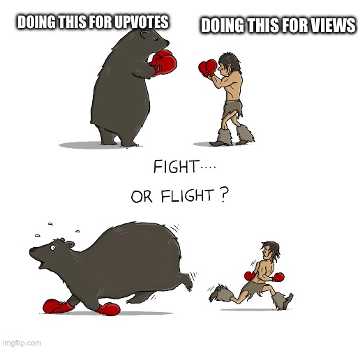fight or flight bear? | DOING THIS FOR UPVOTES; DOING THIS FOR VIEWS | image tagged in fight or flight bear,lol | made w/ Imgflip meme maker