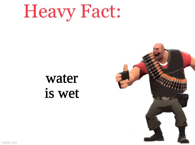 Heavy fact | water is wet | image tagged in heavy fact | made w/ Imgflip meme maker