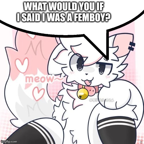 check description | WHAT WOULD YOU IF I SAID I WAS A FEMBOY? I AM NOT A FEMBOY | image tagged in femboy boykisser speech bubble | made w/ Imgflip meme maker