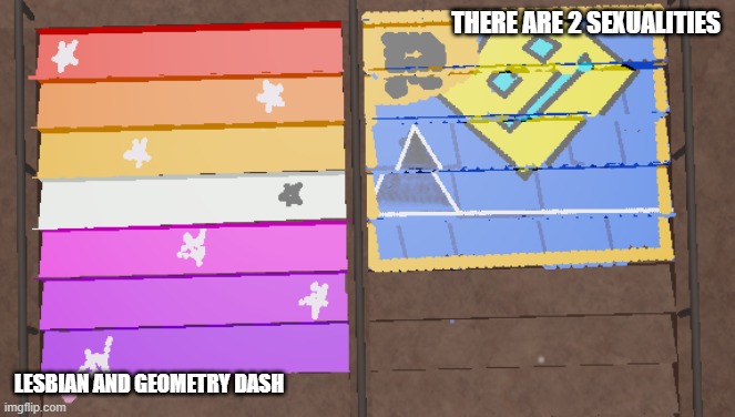 yesn't | THERE ARE 2 SEXUALITIES; LESBIAN AND GEOMETRY DASH | image tagged in homosexuality,geometry dash | made w/ Imgflip meme maker