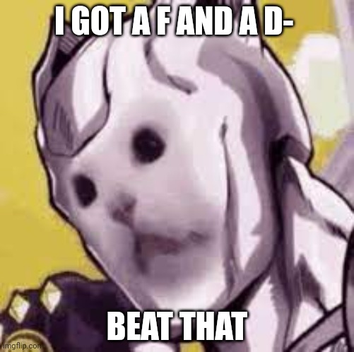 im stupid | I GOT A F AND A D-; BEAT THAT | image tagged in killer cat | made w/ Imgflip meme maker