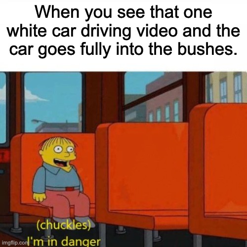 OH NO N- AAAAAAAA | When you see that one white car driving video and the car goes fully into the bushes. | image tagged in chuckles i m in danger,memes,funny,relatable,so true memes,relatable memes | made w/ Imgflip meme maker