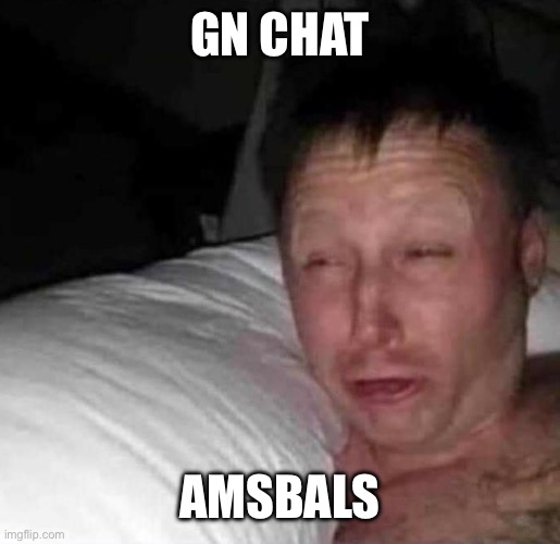 Sleepy guy | GN CHAT; AMSBALS | image tagged in sleepy guy | made w/ Imgflip meme maker