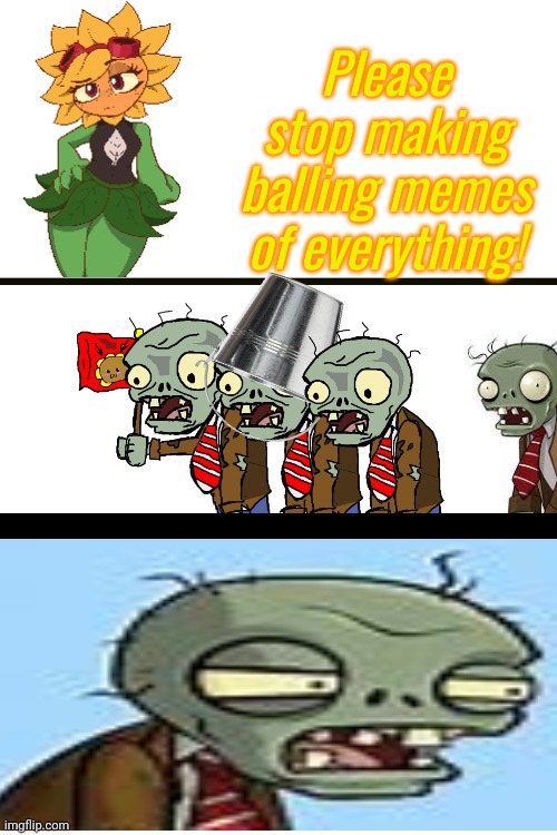I've gyatt to see what solar flare is yapping about | Please stop making balling memes of everything! | image tagged in blank white template,pvz,meme,fun,funny,plants vs zombies | made w/ Imgflip meme maker