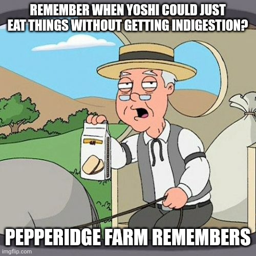 Pepperidge Farm Remembers Meme | REMEMBER WHEN YOSHI COULD JUST EAT THINGS WITHOUT GETTING INDIGESTION? PEPPERIDGE FARM REMEMBERS | image tagged in memes,pepperidge farm remembers,yoshi | made w/ Imgflip meme maker