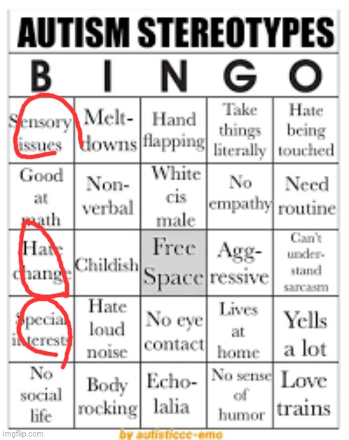 Low functioning autism moment | image tagged in autism stereotypes bingo | made w/ Imgflip meme maker