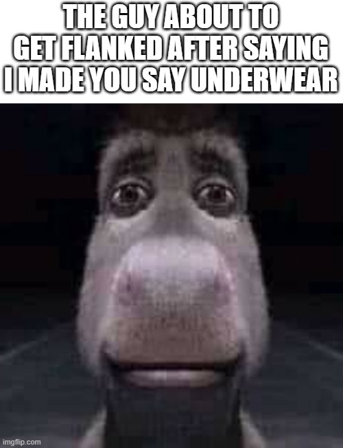 Donkey staring | THE GUY ABOUT TO GET FLANKED AFTER SAYING I MADE YOU SAY UNDERWEAR | image tagged in donkey staring,funny memes | made w/ Imgflip meme maker
