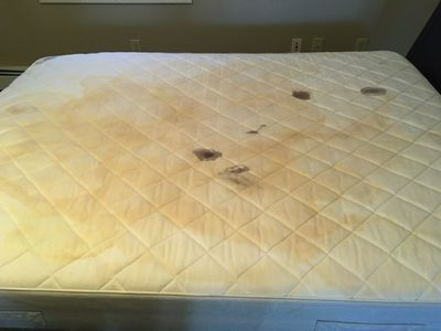 Stained Mattress  Gross Bed Blank Meme Template