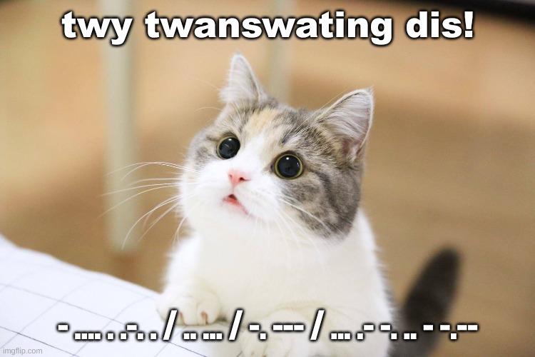 if u know mowse code can u twanswate dis stuff? | twy twanswating dis! - .... . .-. . / .. ... / -. --- / ... .- -. .. - -.-- | image tagged in cute cat,morse code,cute,cat,message,innocent | made w/ Imgflip meme maker