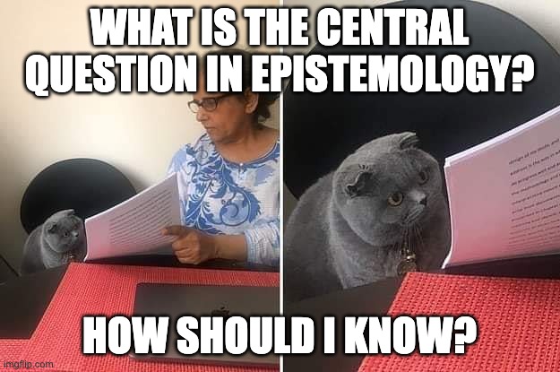 epistemology humor | WHAT IS THE CENTRAL QUESTION IN EPISTEMOLOGY? HOW SHOULD I KNOW? | image tagged in woman showing paper to cat | made w/ Imgflip meme maker