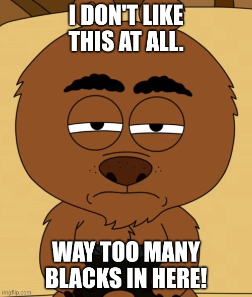 Stop racism! | I DON'T LIKE THIS AT ALL. WAY TOO MANY BLACKS IN HERE! | image tagged in suspicious malloy,racism,brickleberry,really nigga | made w/ Imgflip meme maker