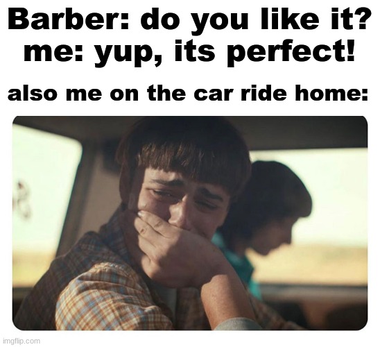 Barber: do you like it?
me: yup, its perfect! also me on the car ride home: | image tagged in funny,memes,relatable,relatable memes,pov,dogs | made w/ Imgflip meme maker