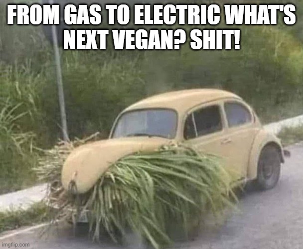 Vegan Vehicals | FROM GAS TO ELECTRIC WHAT'S
NEXT VEGAN? SHIT! | image tagged in vegan,vegans,electric,cars,fossil fuel,fuel | made w/ Imgflip meme maker