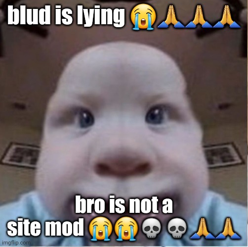 @fuji | blud is lying 😭🙏🙏🙏; bro is not a site mod 😭😭💀💀🙏🙏 | image tagged in baab | made w/ Imgflip meme maker