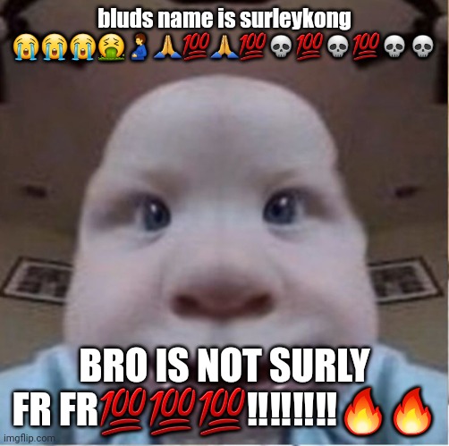 baab | bluds name is surleykong 😭😭😭🤮🫃🙏💯🙏💯💀💯💀💯💀💀; BRO IS NOT SURLY FR FR💯💯💯‼️‼️‼️‼️🔥🔥 | image tagged in baab | made w/ Imgflip meme maker