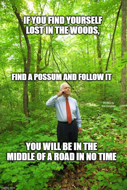 Lost in the Woods | IF YOU FIND YOURSELF LOST IN THE WOODS, FIND A POSSUM AND FOLLOW IT; MEMEs by Dan Campbell; YOU WILL BE IN THE MIDDLE OF A ROAD IN NO TIME | image tagged in lost in the woods | made w/ Imgflip meme maker