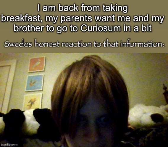 my honest reaction-ty kit for making it into a meme btw | I am back from taking breakfast, my parents want me and my brother to go to Curiosum in a bit | image tagged in my honest reaction-ty kit for making it into a meme btw | made w/ Imgflip meme maker