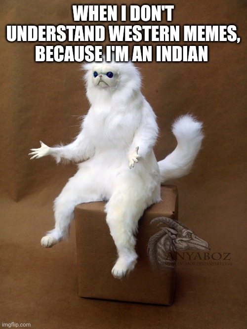 Persian Cat Room Guardian Single Meme | WHEN I DON'T UNDERSTAND WESTERN MEMES, BECAUSE I'M AN INDIAN | image tagged in memes,persian cat room guardian single | made w/ Imgflip meme maker