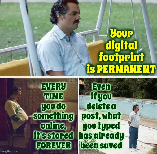 It's A Big Deal | Your digital footprint is PERMANENT; EVERY TIME you do something online, it's stored FOREVER; Even if you delete a post, what you typed has already been saved | image tagged in memes,sad pablo escobar,digital footprint,privacy,no secrets,in the future | made w/ Imgflip meme maker