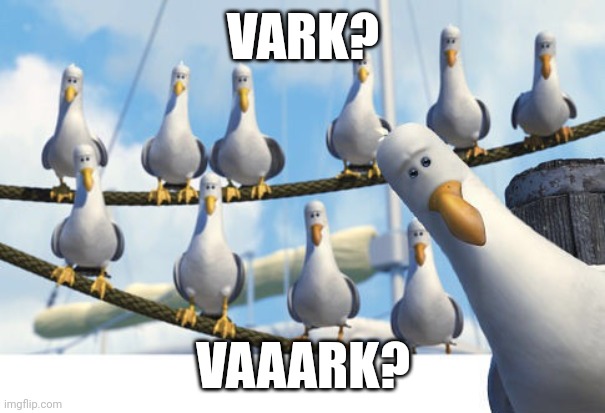 Finding Nemo Seagulls | VARK? VAAARK? | image tagged in finding nemo seagulls | made w/ Imgflip meme maker