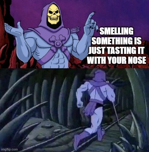 he man skeleton advices | SMELLING SOMETHING IS JUST TASTING IT WITH YOUR NOSE | image tagged in he man skeleton advices | made w/ Imgflip meme maker