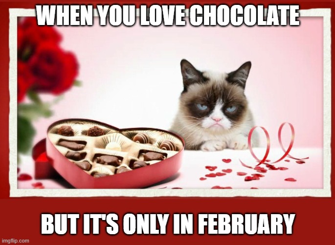Why only February? | WHEN YOU LOVE CHOCOLATE; BUT IT'S ONLY IN FEBRUARY | image tagged in grumpy valentine | made w/ Imgflip meme maker