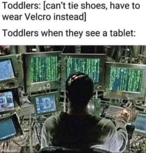 they fr know their way around them so quickly | image tagged in funny | made w/ Imgflip meme maker