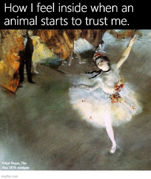 Animals | image tagged in artmemes,vegan,veganism,trust,animal | made w/ Imgflip meme maker