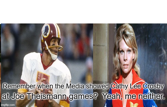 Media Gone Mad | Remember when the Media showed Cathy Lee Crosby; at Joe Theismann games?  Yeah, me neither. | image tagged in memes,taylor swift,media,nfl,joe theismann,travis kelce | made w/ Imgflip meme maker