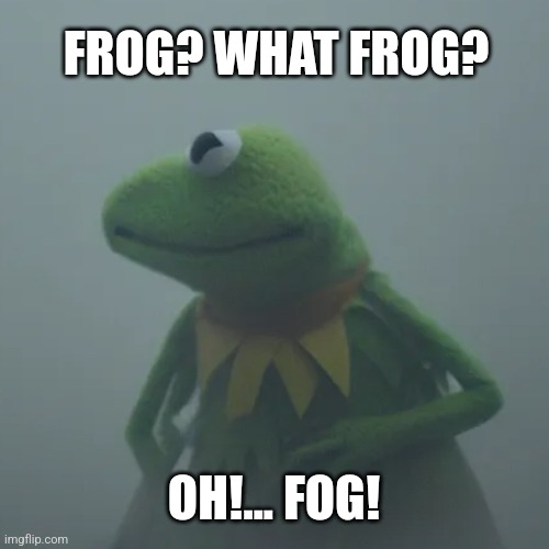 Fog vs Frog | FROG? WHAT FROG? OH!... FOG! | image tagged in fog,frog,kermit,funny,weather memes,fog memes | made w/ Imgflip meme maker