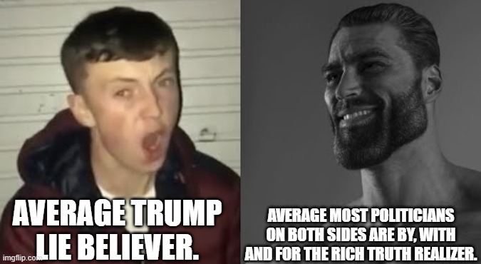 THE TRUTH | AVERAGE TRUMP LIE BELIEVER. AVERAGE MOST POLITICIANS ON BOTH SIDES ARE BY, WITH AND FOR THE RICH TRUTH REALIZER. | image tagged in average enjoyer meme,trump,truth | made w/ Imgflip meme maker