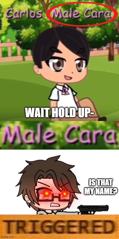 Male Cara when someone else is named Male Cara | WAIT HOLD UP-; IS THAT MY NAME? | image tagged in memes,male cara | made w/ Imgflip meme maker