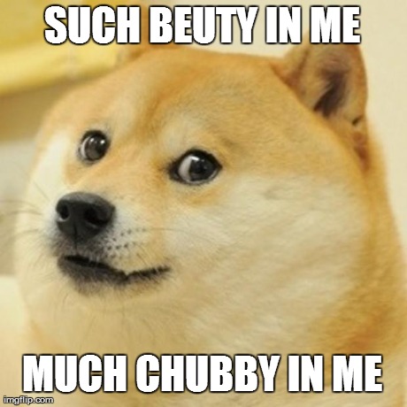 Doge Meme | SUCH BEUTY IN ME MUCH CHUBBY IN ME | image tagged in memes,doge | made w/ Imgflip meme maker