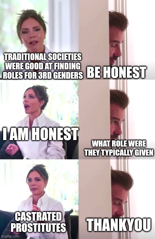 Victoria David Beckham Be Honest | TRADITIONAL SOCIETIES
WERE GOOD AT FINDING
ROLES FOR 3RD GENDERS; BE HONEST; I AM HONEST; WHAT ROLE WERE
THEY TYPICALLY GIVEN; CASTRATED PROSTITUTES; THANKYOU | image tagged in victoria david beckham be honest | made w/ Imgflip meme maker