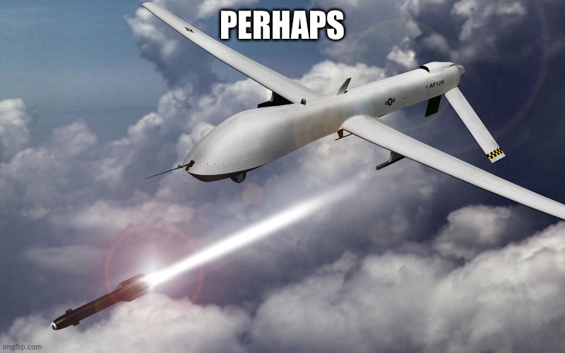 drone strikes | PERHAPS | image tagged in drone strikes | made w/ Imgflip meme maker