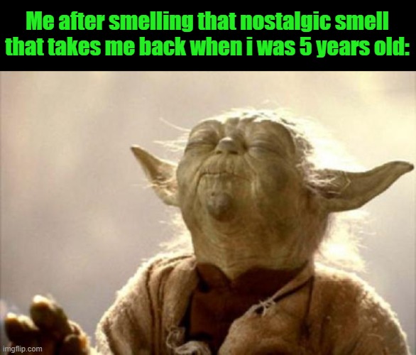 yoda smell | Me after smelling that nostalgic smell that takes me back when i was 5 years old: | image tagged in yoda smell | made w/ Imgflip meme maker