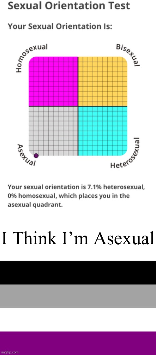 Is It Ok if I’m asexual | I Think I’m Asexual | image tagged in question,sexuality | made w/ Imgflip meme maker