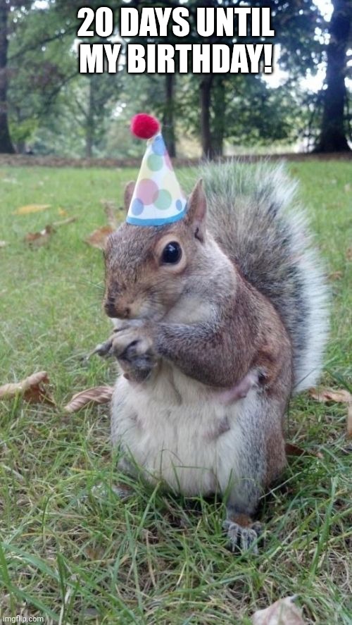 Super Birthday Squirrel | 20 DAYS UNTIL MY BIRTHDAY! | image tagged in memes,super birthday squirrel | made w/ Imgflip meme maker