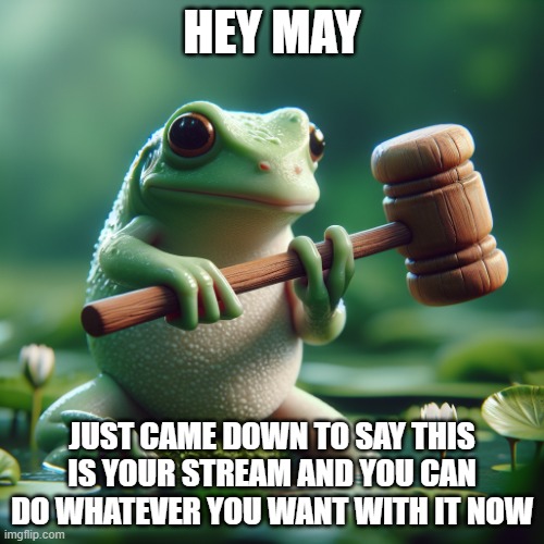 have fun with it i guess | HEY MAY; JUST CAME DOWN TO SAY THIS IS YOUR STREAM AND YOU CAN DO WHATEVER YOU WANT WITH IT NOW | image tagged in frog holding a mallet | made w/ Imgflip meme maker
