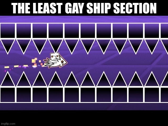 straight fly | THE LEAST GAY SHIP SECTION | image tagged in straight fly | made w/ Imgflip meme maker
