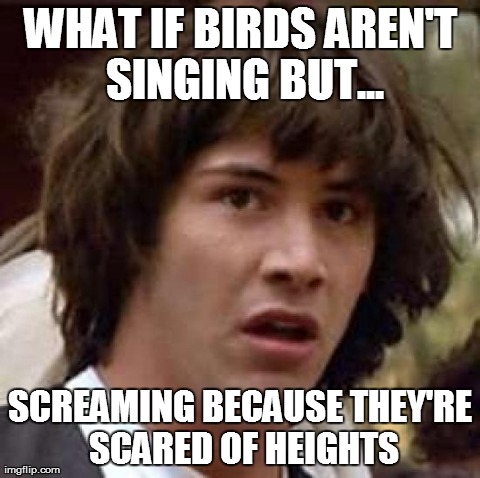 Conspiracy Keanu | WHAT IF BIRDS AREN'T SINGING BUT... SCREAMING BECAUSE THEY'RE SCARED OF HEIGHTS | image tagged in memes,conspiracy keanu | made w/ Imgflip meme maker