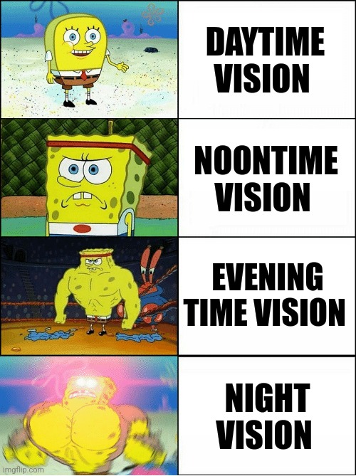 Night vision is the strongest | DAYTIME VISION; NOONTIME VISION; EVENING TIME VISION; NIGHT VISION | image tagged in sponge finna commit muder | made w/ Imgflip meme maker