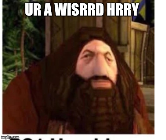 Ur a wisrd | UR A WISRRD HRRY | image tagged in ps1,hagrid | made w/ Imgflip meme maker