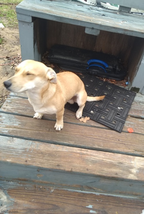 why were my mexican neighbours playing music in spanish but now a taylor swift song comes up | made w/ Imgflip meme maker