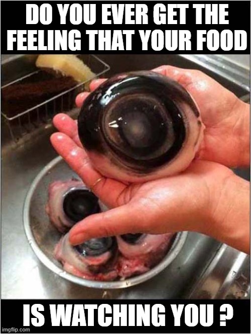 Juicy Fish Eyes Anyone ? | DO YOU EVER GET THE FEELING THAT YOUR FOOD; IS WATCHING YOU ? | image tagged in fish,eyes,watching,dark humour | made w/ Imgflip meme maker