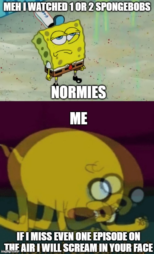 MEH I WATCHED 1 OR 2 SPONGEBOBS; NORMIES; ME; IF I MISS EVEN ONE EPISODE ON THE AIR I WILL SCREAM IN YOUR FACE | image tagged in spongebob not scared,jake the dog internal screaming | made w/ Imgflip meme maker