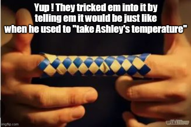 Yup ! They tricked em into it by telling em it would be just like when he used to "take Ashley's temperature" | made w/ Imgflip meme maker