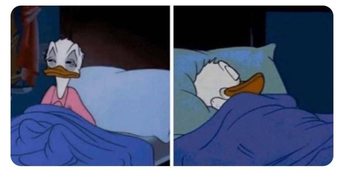 DONALD DUCK GOES BACK TO BED Blank Meme Template